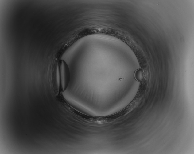 X0000087590754200705181219