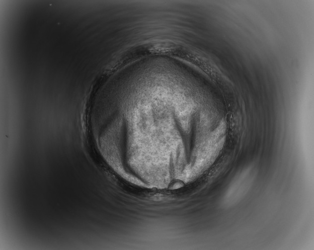 X0000087590755200705181219