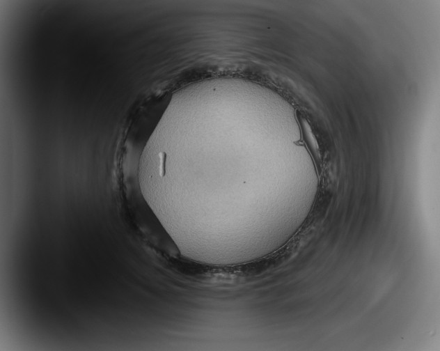 X0000087590756200705181219