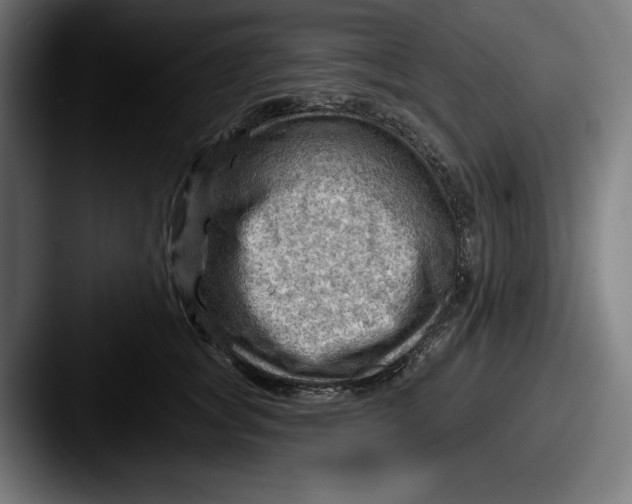 X0000087590757200705181219