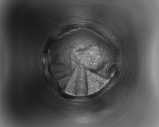 X0000087590758200705181219