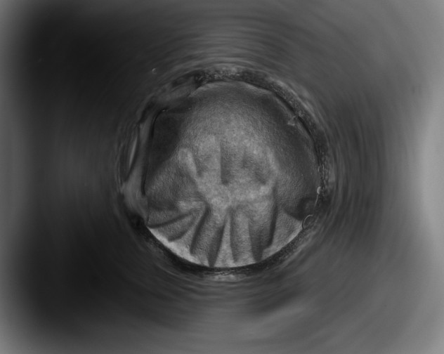 X0000087590759200705181219