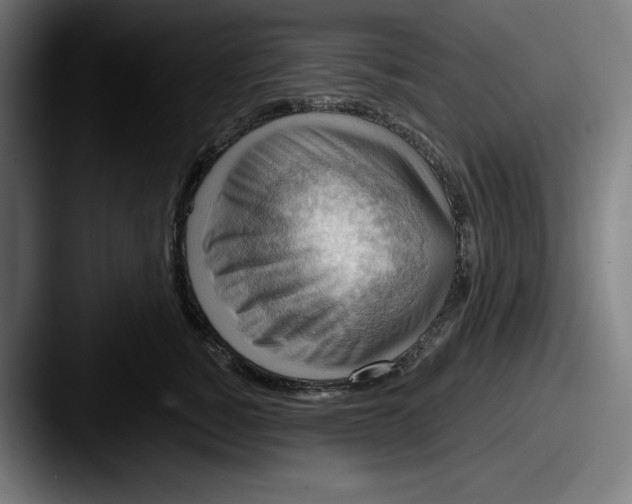 X0000087590760200705181219