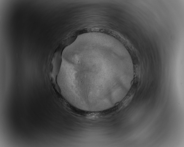 X0000087590761200705181219