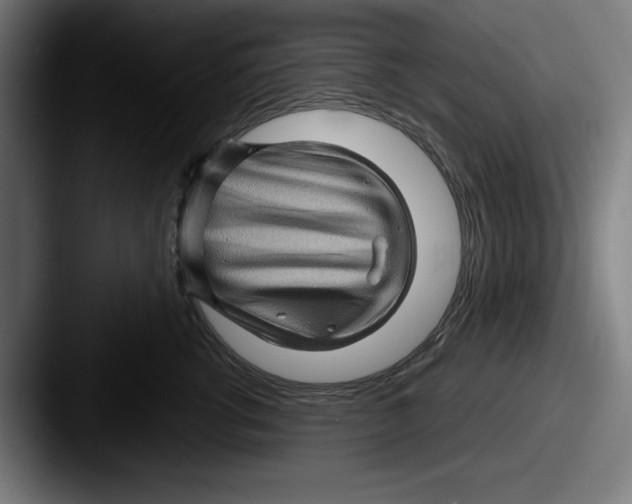 X0000087590762200705181219