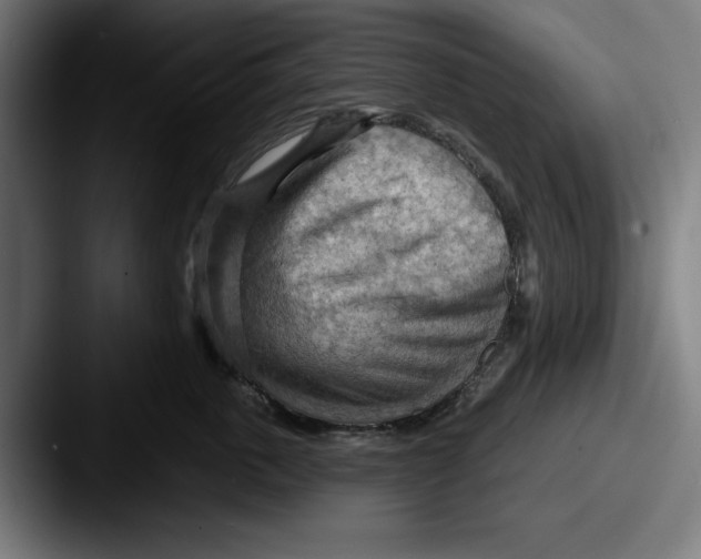 X0000087590763200705181219