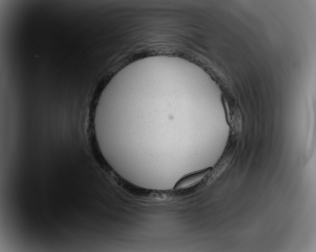 X0000087590764200705181219