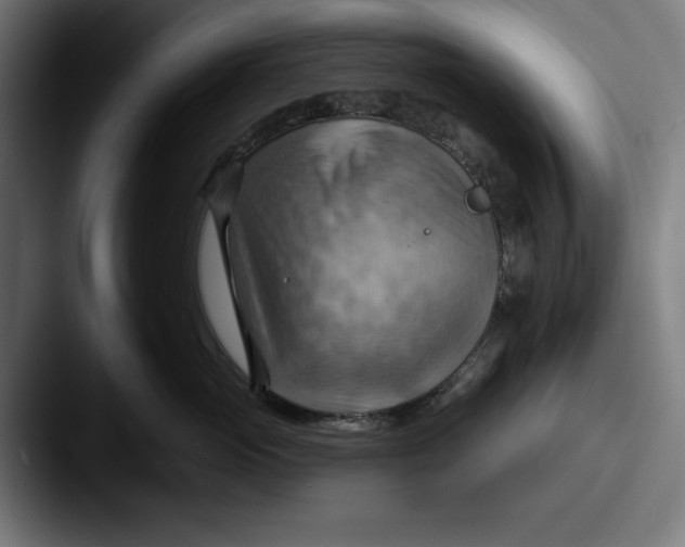 X0000087590765200705181219