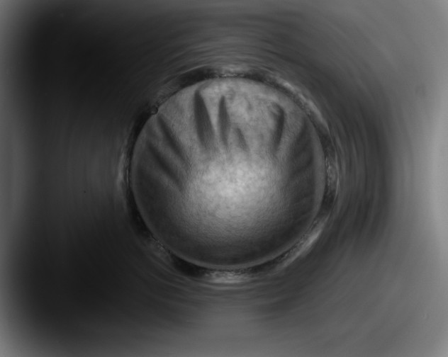 X0000087590766200705181219