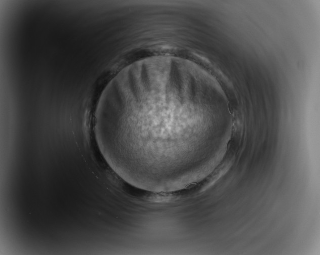 X0000087590767200705181219