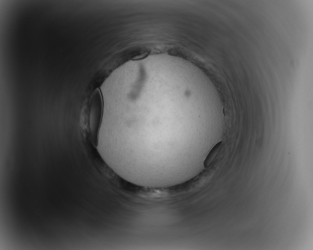 X0000087590768200705181219