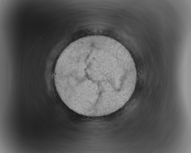 X0000087590769200705181218