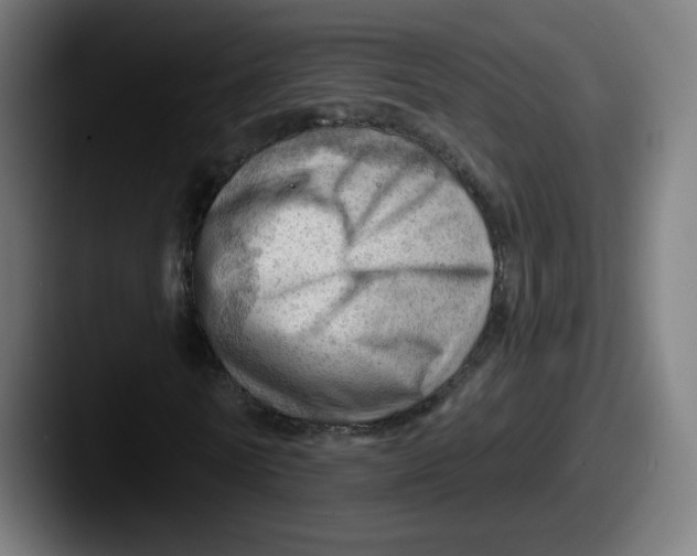 X0000087590770200705181218