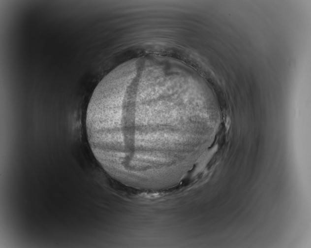 X0000087590771200705181218