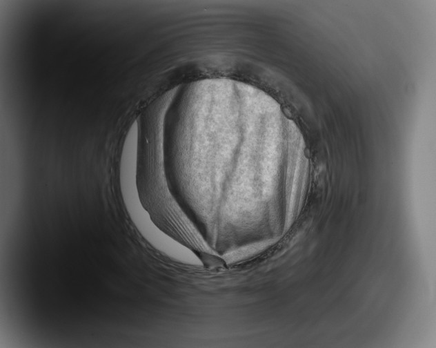 X0000087590772200705181218