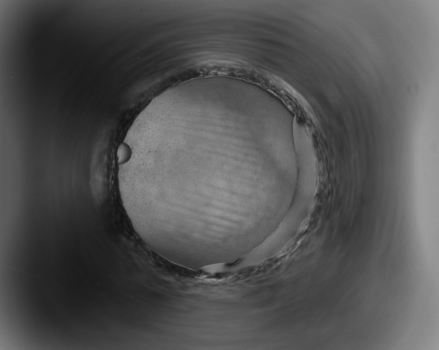 X0000087590775200705181218