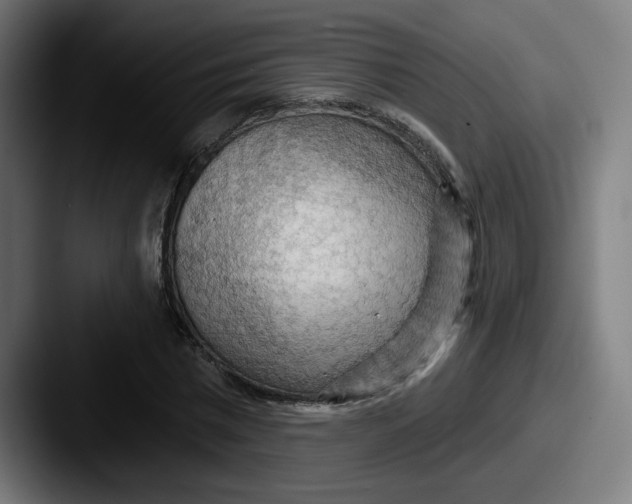 X0000087590777200705181218