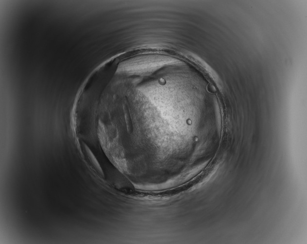 X0000087590779200705181218