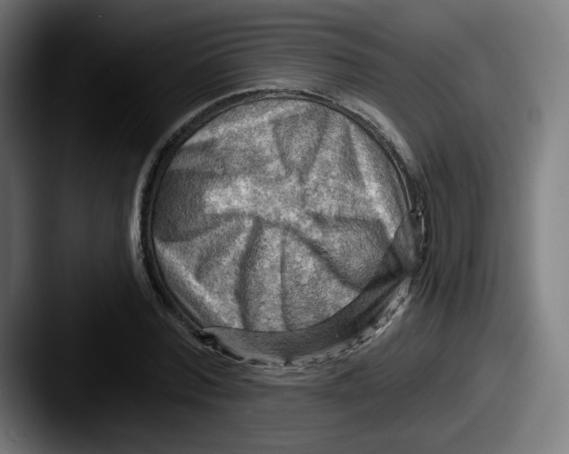 X0000087590780200705181218