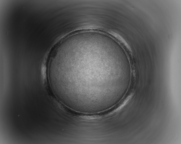 X0000087590781200705181218