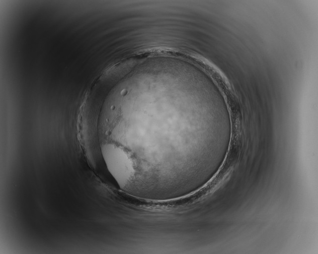 X0000087590785200705181218