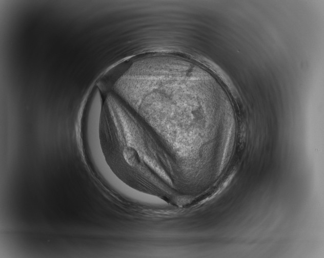 X0000087590787200705181218