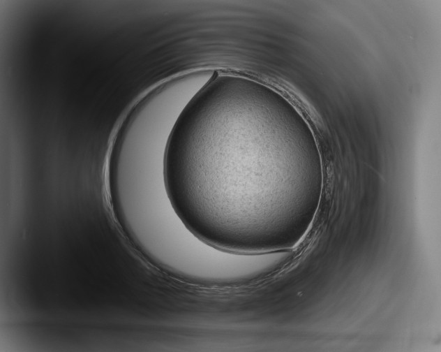 X0000087590788200705181218