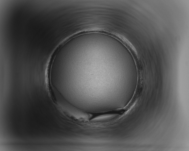 X0000087590789200705181218