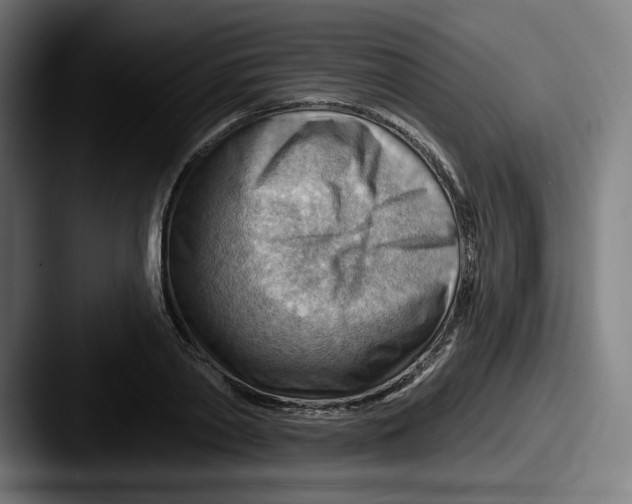 X0000087590790200705181218