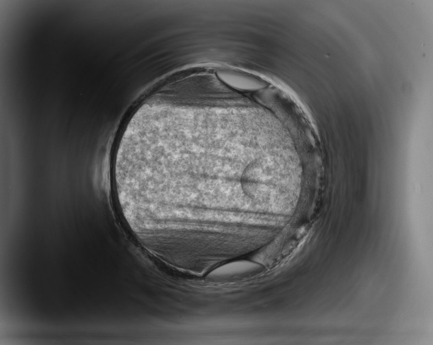 X0000087590791200705181218