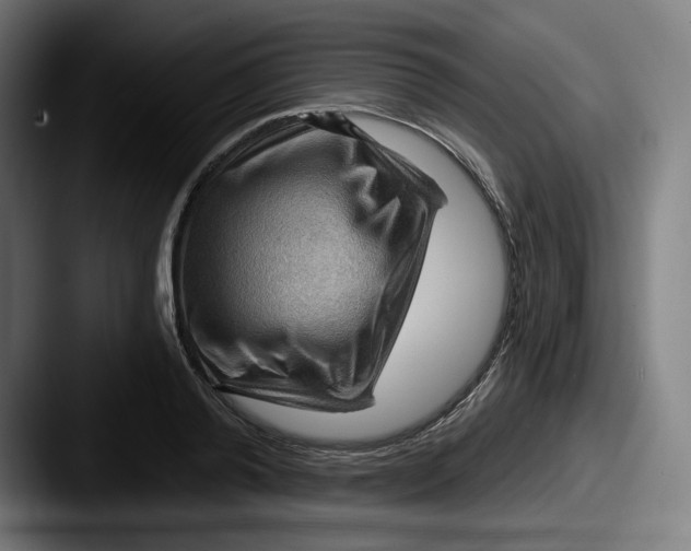 X0000087590792200705181218