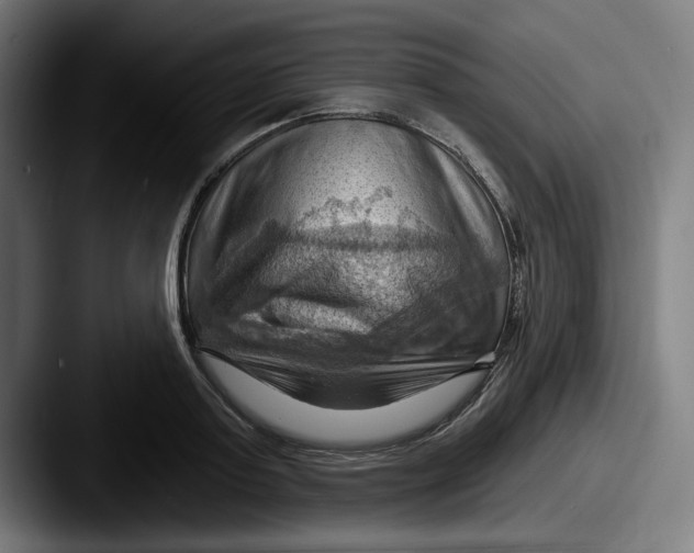 X0000087590795200705181218