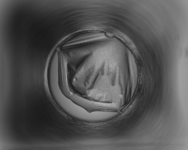 X0000087590796200705181218