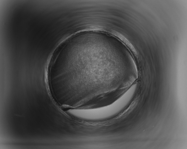 X0000087590797200705181218