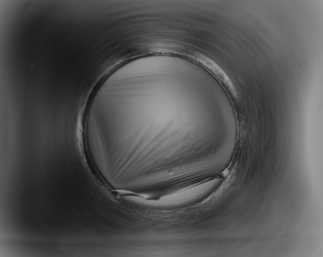 X0000087590798200705181218