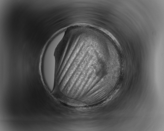 X0000087590799200705181218