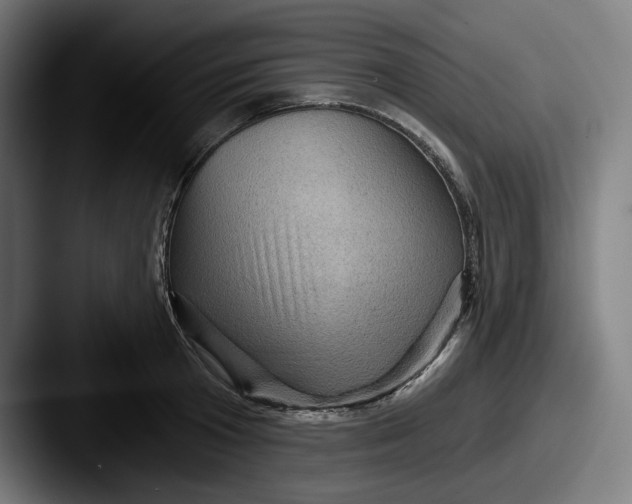 X0000087590801200705181218