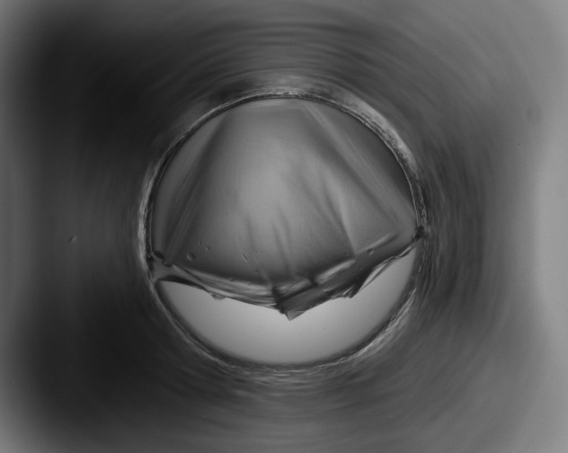 X0000087590802200705181218