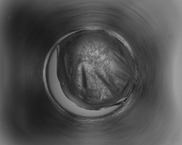 X0000087590803200705181218