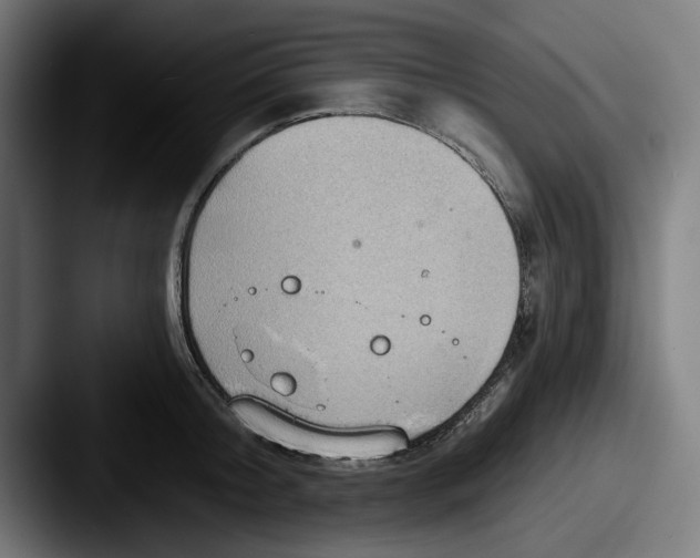 X0000087590804200705181218