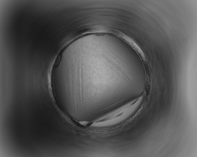 X0000087590805200705181218