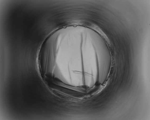 X0000087590806200705181218