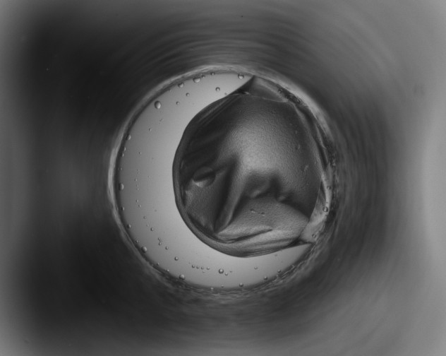 X0000087590807200705181218