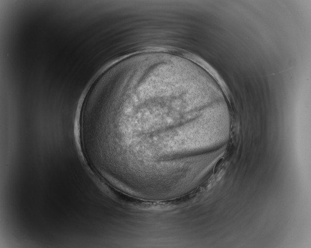 X0000087590811200705181218