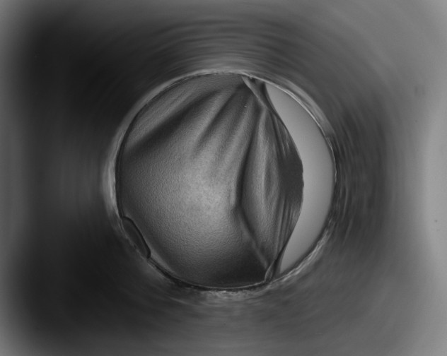 X0000087590812200705181218