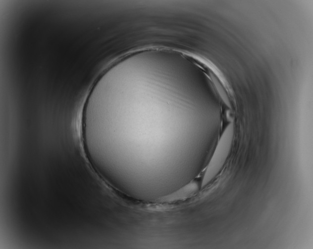 X0000087590815200705181218