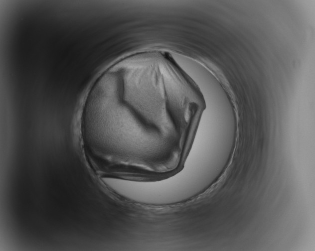 X0000087590816200705181218