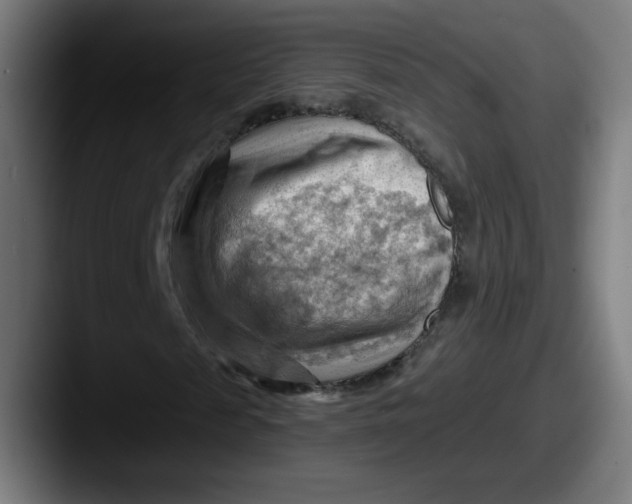 X0000087590817200705181217