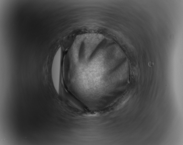 X0000087590818200705181217