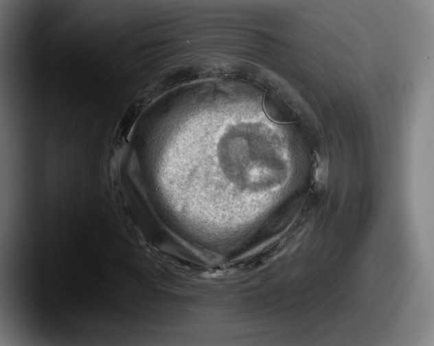 X0000087590819200705181217